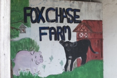 August 10, 2023: Senator Dillon joins Representatives Boyle and Fiedler to present a $100,000 historic preservation grant at Fox Chase Farm.
